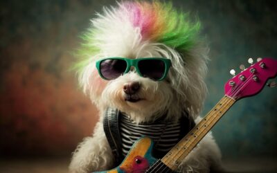 Rock argentino: conheça tudo sobre o estilo musical dos hermanos