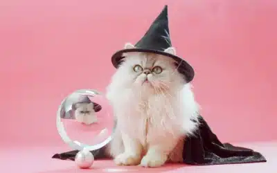 Futuro simples: a bola de cristal do espanhol